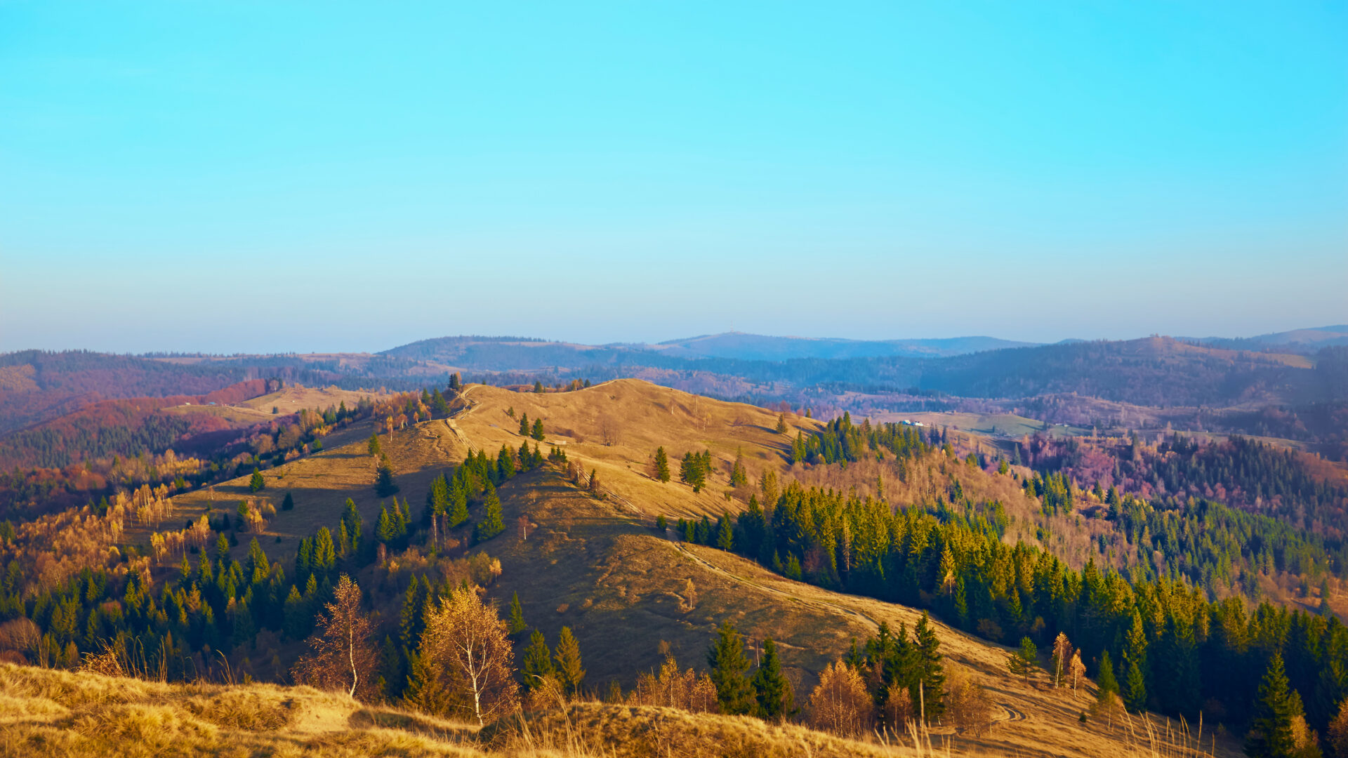 Autumnal hills and vibrant forest